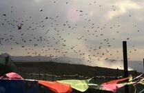 施工单位强行施工！监理单位不及时上报？两家均被严惩停工！